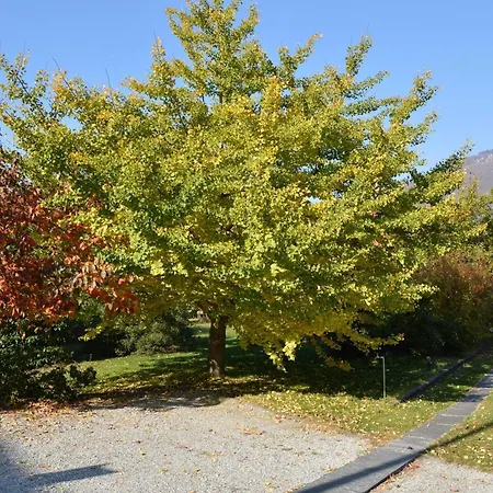 Apartment Tista By Fewotessin *